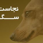 آیا سگ، پاک است؟